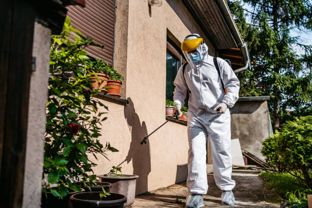 Best Local Pest Control Services  in Lake Jackson, TX